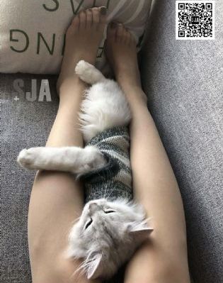 免费毛片观看_超清高清完整版